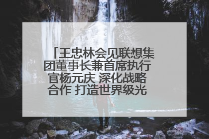 王忠林会见联想集团董事长兼首席执行官杨元庆 深化战略合作 打造世界级光电子信息产业集群