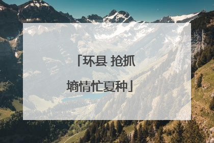 环县 抢抓墒情忙夏种