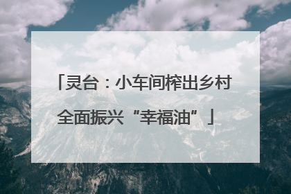 灵台：小车间榨出乡村全面振兴“幸福油”