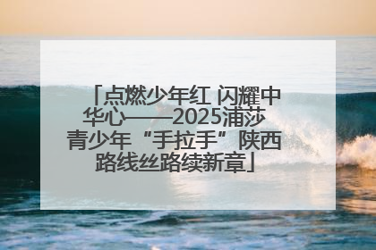 点燃少年红 闪耀中华心——2025浦莎青少年“手拉手”陕西路线丝路续新章