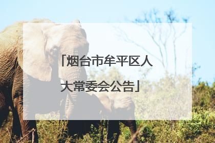 烟台市牟平区人大常委会公告