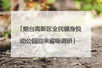 烟台高新区全民健身悦动公园迎来省级调研
