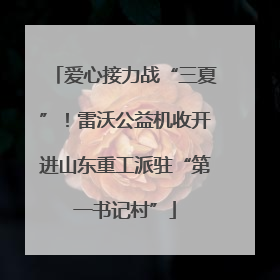 爱心接力战“三夏”！雷沃公益机收开进山东重工派驻“第一书记村”