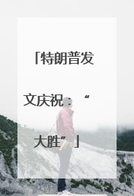 特朗普发文庆祝：“大胜”
