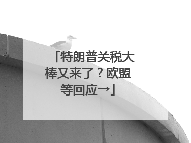 特朗普关税大棒又来了？欧盟等回应→