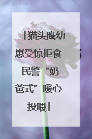 猫头鹰幼崽受惊拒食 民警“奶爸式”暖心投喂