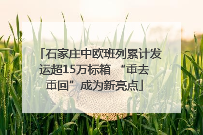 石家庄中欧班列累计发运超15万标箱 “重去重回”成为新亮点