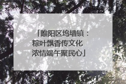 睢阳区坞墙镇：粽叶飘香传文化 浓情端午聚民心