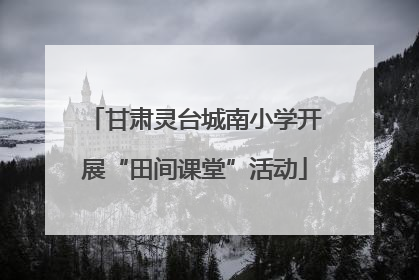 甘肃灵台城南小学开展“田间课堂”活动