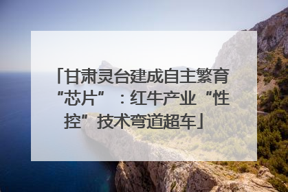 甘肃灵台建成自主繁育“芯片”：红牛产业“性控”技术弯道超车