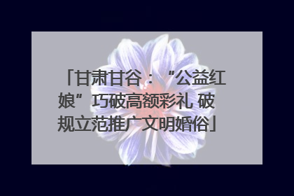 甘肃甘谷：“公益红娘”巧破高额彩礼 破规立范推广文明婚俗