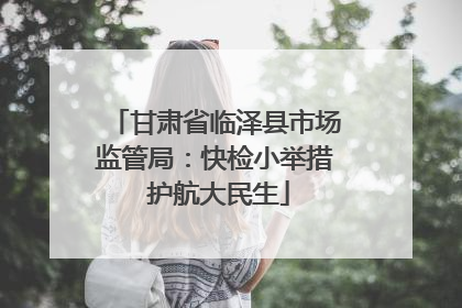甘肃省临泽县市场监管局：快检小举措 护航大民生