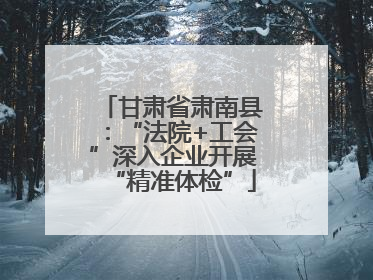 甘肃省肃南县：“法院+工会”深入企业开展“精准体检”