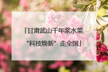 甘肃武山千年浆水菜“科技焕新”走全国