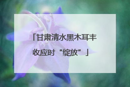 甘肃清水黑木耳丰收应时“绽放”