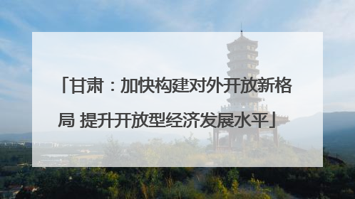 甘肃：加快构建对外开放新格局 提升开放型经济发展水平