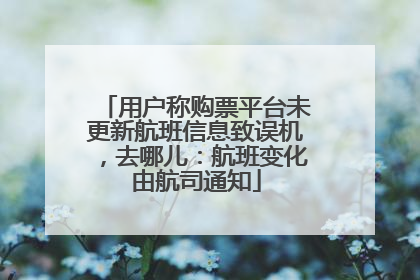用户称购票平台未更新航班信息致误机，去哪儿：航班变化由航司通知