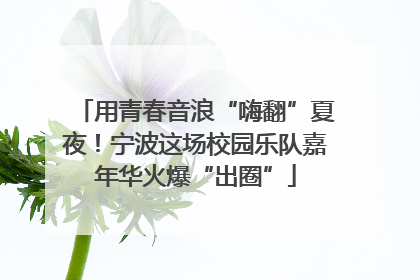 用青春音浪“嗨翻”夏夜！宁波这场校园乐队嘉年华火爆“出圈”
