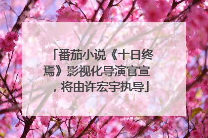 番茄小说《十日终焉》影视化导演官宣，将由许宏宇执导