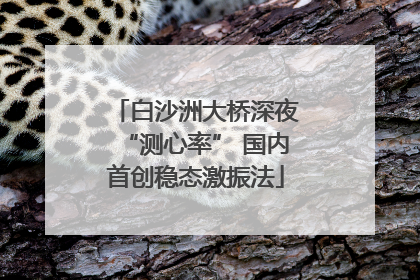 白沙洲大桥深夜“测心率” 国内首创稳态激振法