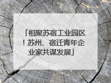相聚苏宿工业园区！苏州、宿迁青年企业家共谋发展