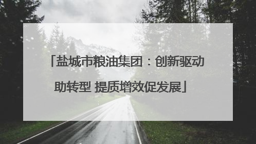 盐城市粮油集团：创新驱动助转型 提质增效促发展