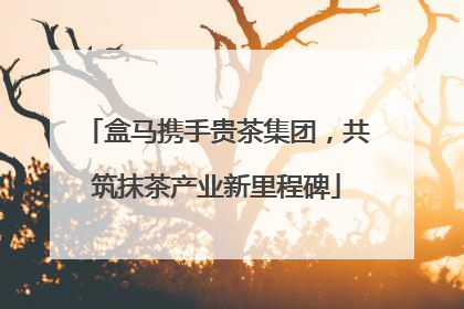 盒马携手贵茶集团，共筑抹茶产业新里程碑