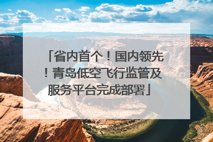省内首个！国内领先！青岛低空飞行监管及服务平台完成部署