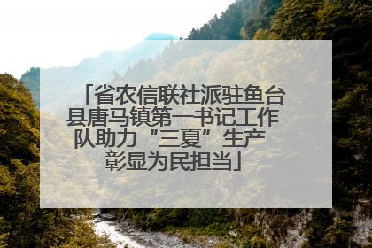 省农信联社派驻鱼台县唐马镇第一书记工作队助力“三夏”生产 彰显为民担当