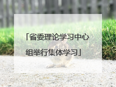 省委理论学习中心组举行集体学习