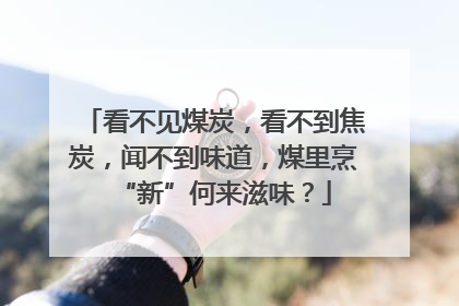 看不见煤炭，看不到焦炭，闻不到味道，煤里烹“新”何来滋味？