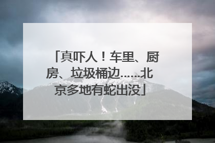 真吓人！车里、厨房、垃圾桶边……北京多地有蛇出没