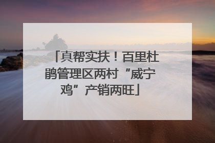真帮实扶！百里杜鹃管理区两村“威宁鸡”产销两旺
