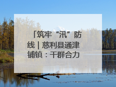 筑牢“汛”防线｜慈利县通津铺镇：干群合力抗击洪灾