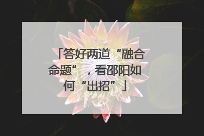 答好两道“融合命题”，看邵阳如何“出招”