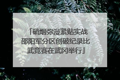 硝烟弥漫紧贴实战 邵阳军分区创破纪录比武竞赛在武冈举行