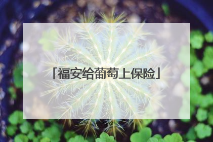 福安给葡萄上保险