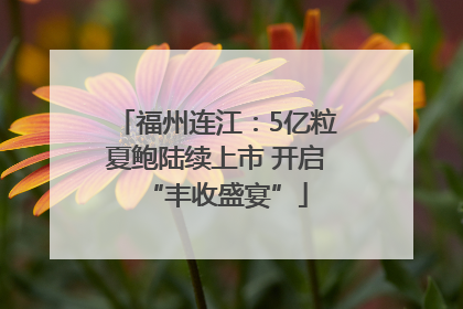 福州连江：5亿粒夏鲍陆续上市 开启“丰收盛宴”
