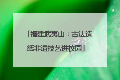 福建武夷山：古法造纸非遗技艺进校园