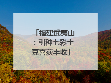 福建武夷山：引种七彩土豆喜获丰收