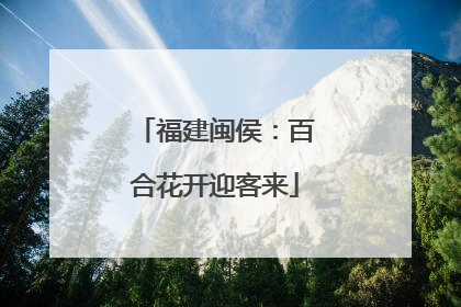 福建闽侯：百合花开迎客来