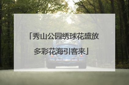 秀山公园绣球花盛放 多彩花海引客来