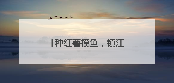 种红薯摸鱼，镇江这家学校在田间池畔见证学生快乐成长