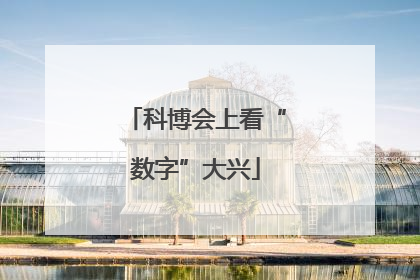 科博会上看“数字”大兴