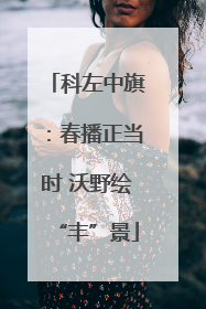 科左中旗：春播正当时 沃野绘“丰”景