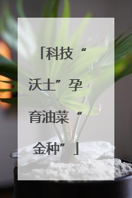 科技“沃土”孕育油菜“金种”