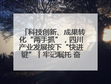 科技创新、成果转化“两手抓”，四川产业发展按下“快进键”丨牢记嘱托 奋力打造两高地两基地一屏障