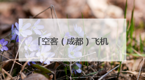 空客（成都）飞机全生命周期服务有限公司总经理布莱恩·阿格纽：成都航空产业生态完备，营商环境优势显著