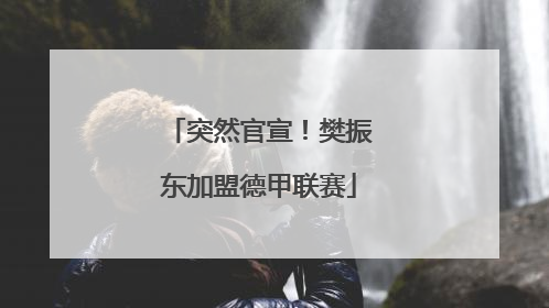突然官宣！樊振东加盟德甲联赛