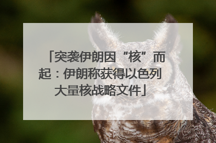 突袭伊朗因“核”而起：伊朗称获得以色列大量核战略文件